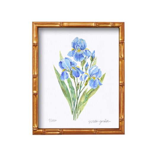 Dwarf Bearded Iris Archival Art Print — Dwarf Bearded Iris print in the Bamboo-style frame; Susan Gordon