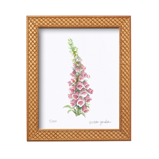 Foxglove Archival Art Print — Foxglove print in the Trellis frame; Susan Gordon