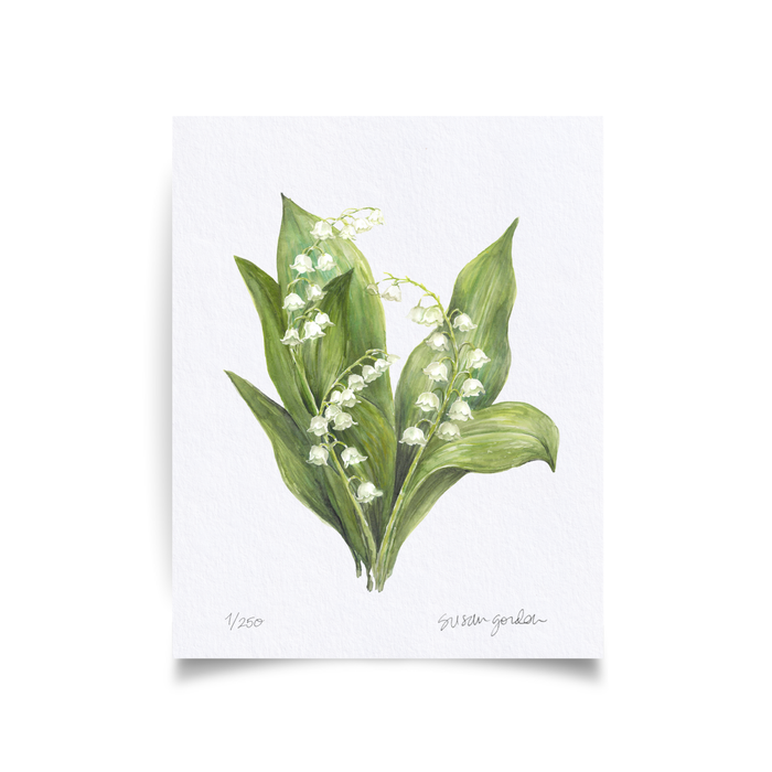 Lily of the Valley Archival Art Print — unframed Lily of the Valley print showing the full artwork; Susan Gordon