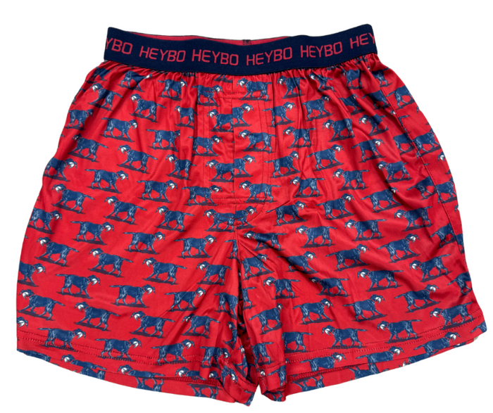 Performance Boxer: Lab With Mallard