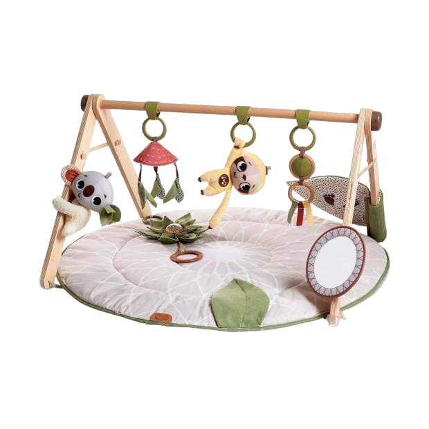Tiny Love Boho Chic Developmental Gymini