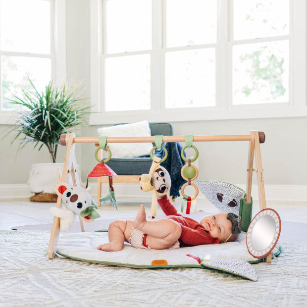 Tiny Love Boho Chic Developmental Gymini