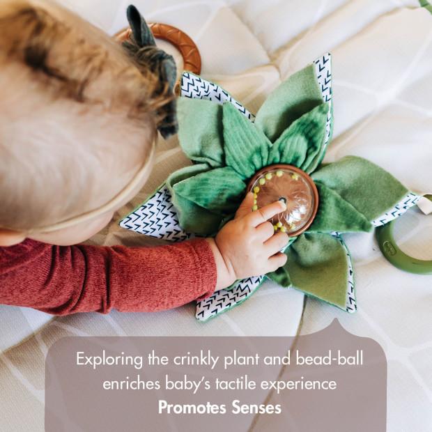 Tiny Love Boho Chic Developmental Gymini